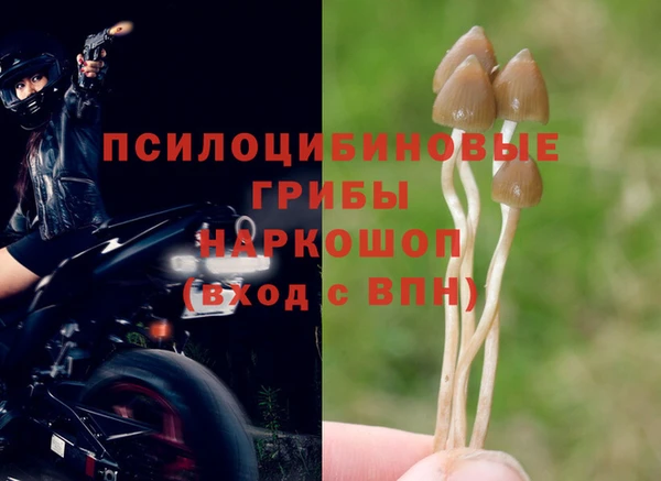 экстази Абдулино