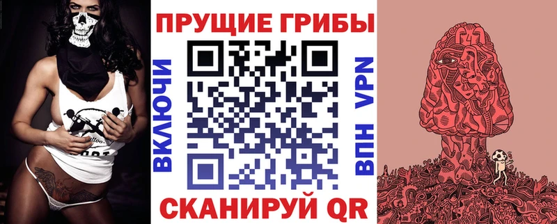 Галлюциногенные грибы Psilocybine cubensis  mega зеркало  Грозный 