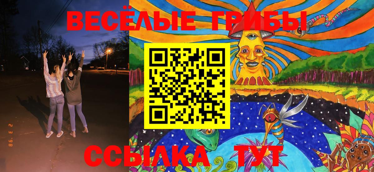 Галлюциногенные грибы Cubensis Грозный